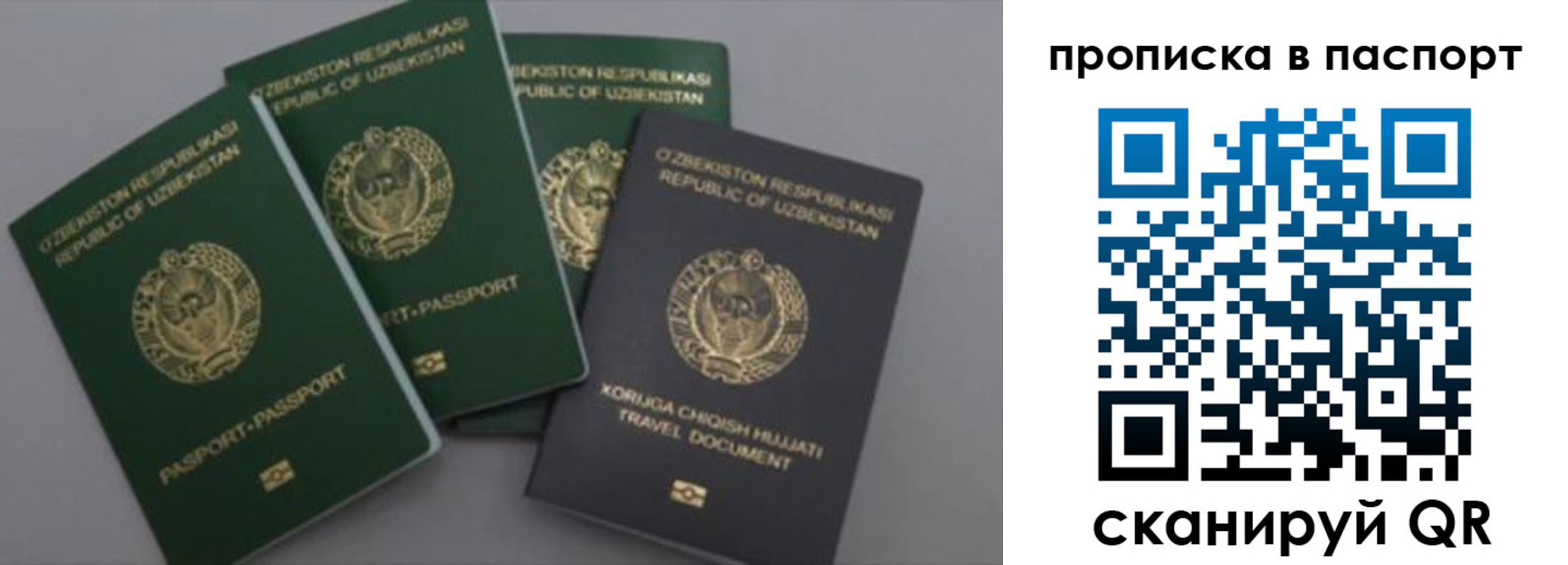 временная прописка в Сосновке